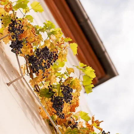 Hotel Pałac Pakoszów Wernersdorf Piechowice (Karkonosze)