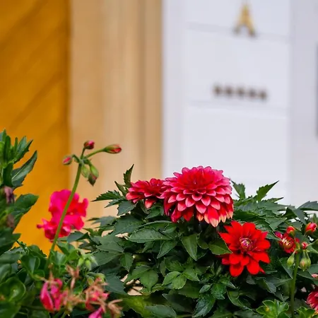 Hotel Pałac Pakoszów Wernersdorf