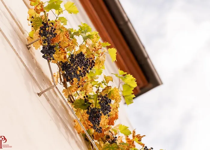 Hotel Palac Pakoszow Wernersdorf Piechowice (Karkonosze)