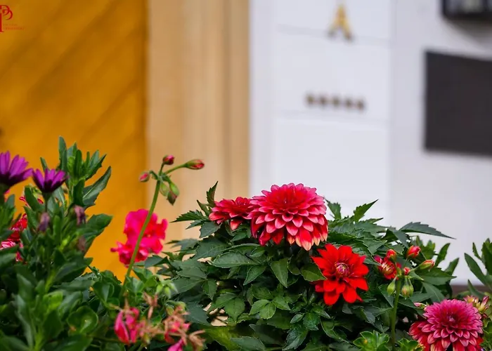 Hotel Pałac Pakoszów Wernersdorf