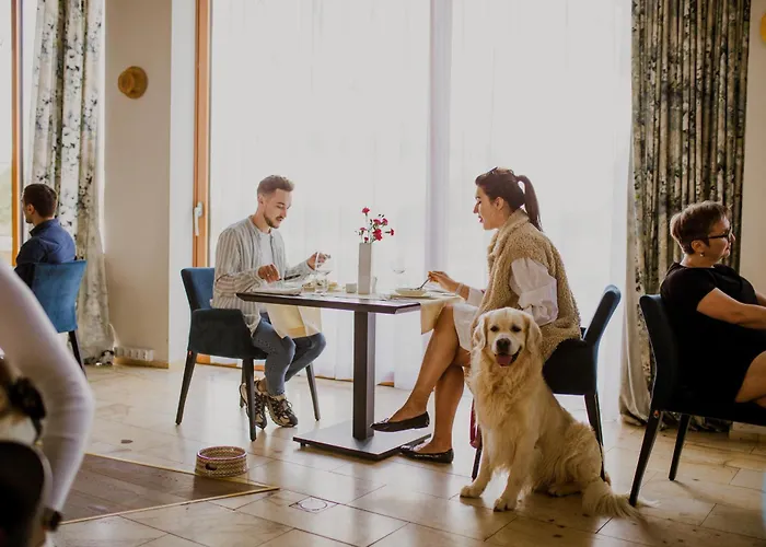 Pałac Pakoszów Wernersdorf Hotel Piechowice (Karkonosze)